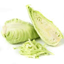 Cabbage