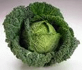 Cabbage