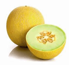 Melon