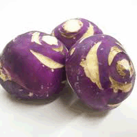 Kohlrabi