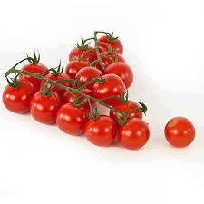 Vine Tomatoes