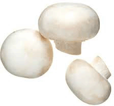 Mushrooms