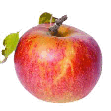 Apples