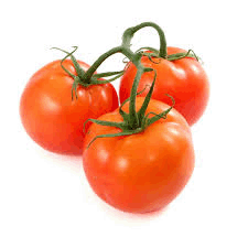 Vine Tomatoes