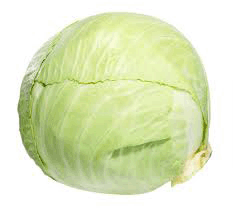 Cabbage