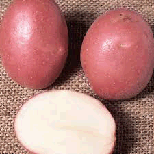Potatoes